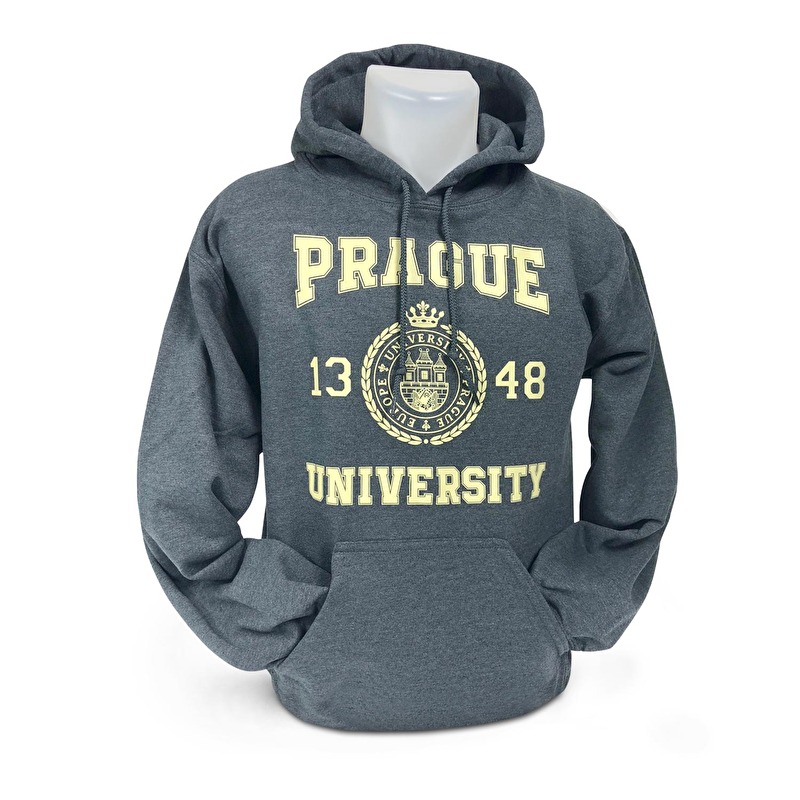 hoodie university