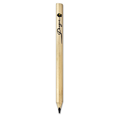 Big pencil DAISY FLOWER black