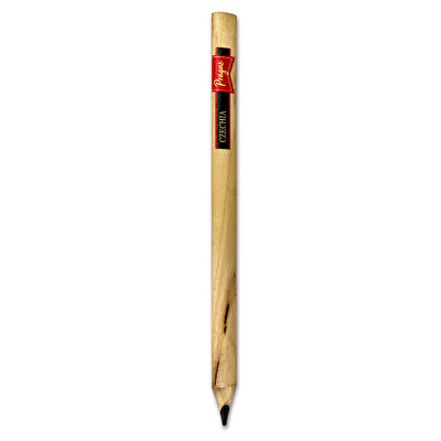 Big pencil Pin Up