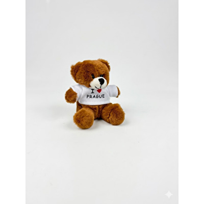 Medvěd plyšový magnet hnědý