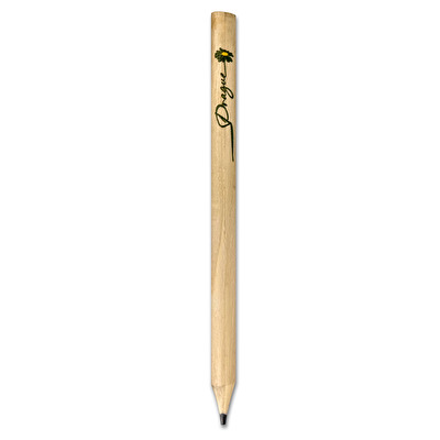 Big pencil DAISY FLOWER green