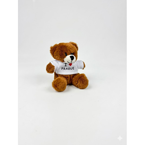 Plüschbär-Magnet braun